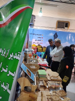 دومین روز از ۲۳نمایشگاه پژوهش، فناوری و فن بازار کار استان هرمزگان