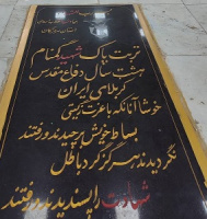 تجدید میثاق سرپرست دانشگاه جامع علمی کاربردی استان هرمزگان  در اولین روز از دهه فجر با آرمانهای امام راحل