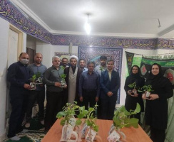 از کارمندان دانشگاه جامع علمی کاربردی استان هرمزگان تجلیل شد